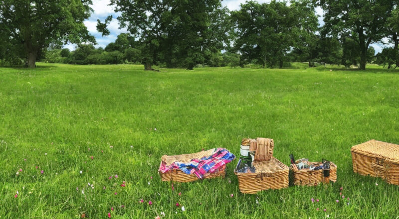 Sådan vælger du det perfekte picnictæppe til din udendørsoplevelse